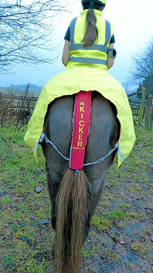 Beware: the equine behaviour sleeve