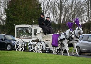 The theme was purple and Matt arrived in a carriage pulled by horses: Solo and Milo.