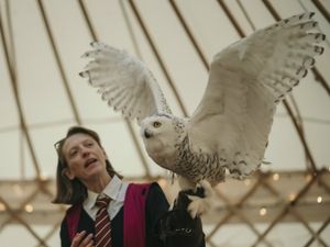 Supporting image for story: Harry Potter event draws crowds to hotel near Shrewsbury