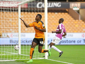 Supporting image for story: COMMENT: A resolution to a surreal Wolves situation