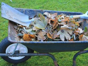 Supporting image for story: Dudley green waste collection service extended for a month 