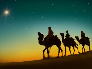 Supporting image for story: Peter Rhodes on nativity gold, a toxic referendum and a motorised dog poo