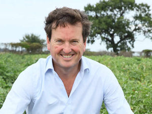 Supporting image for story: Snack company Tyrrells booming as crisps sales jump to £61 million