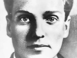 Supporting image for story: Stop this play! Family launches campaign to block production around notorious Cannock Chase child killings