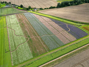 Supporting image for story: Stunning aerial photos show Shropshire Petal Fields which will welcome visitors within days