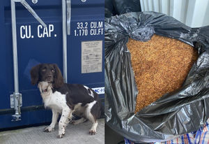 23 bin liners containing over 500kg of processed tobacco was found at the unit. Photo: Walsall Council