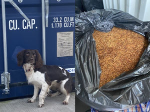 23 bin liners containing over 500kg of processed tobacco was found at the unit. Photo: Walsall Council