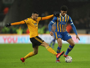 Supporting image for story: Shrewsbury Town v Liverpool: Five recent big cup ties for Salop