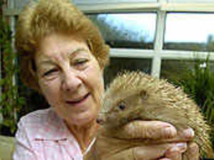 Supporting image for story: No hogwash with prickly problem