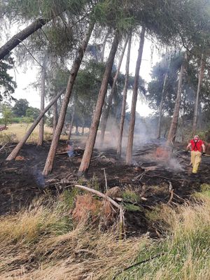 Trees and grassland caught fire. Photo: Market Drayton Fire Station