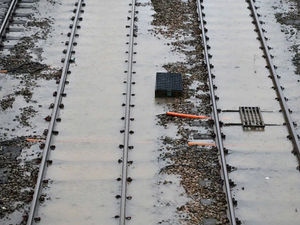 Supporting image for story: Flooding, theft and a fallen tree sees Shropshire trains cancelled 