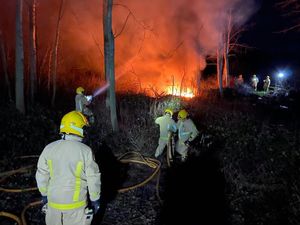 Supporting image for story: 15ft-tall flames reach into air as large fire ravages Shropshire woodland