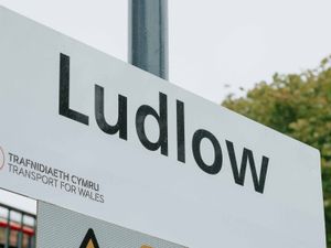 Supporting image for story: Lack of business sites in Ludlow 'is hindering growth'