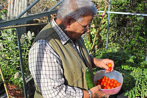 Produce such as tomatoes can be grown in pots in your own garden as well as on an allotment