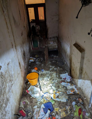 The property was described as 'dirty, cluttered and covered in feaces'