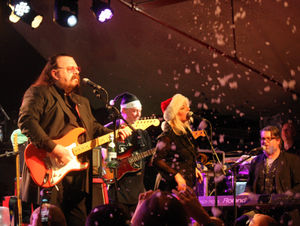 Supporting image for story: Roy Wood, Robin 2, Bilston - review and pictures