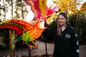 Marketing assistant Shona Wright at the Lantern Festival