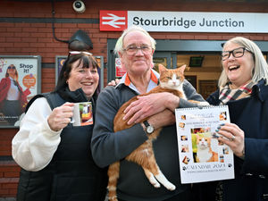 Supporting image for story: New range of George the Railway Cat coming down the line 