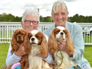 Supporting image for story: Dog show a big success