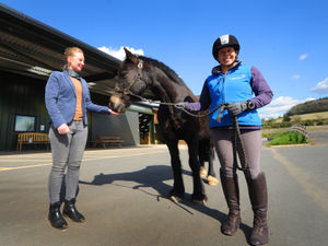 Supporting image for story: Saddling up for fundraising ride