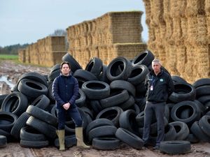 Supporting image for story: More than 1,000 tyres illegally dumped at estates on Shropshire and Staffordshire border