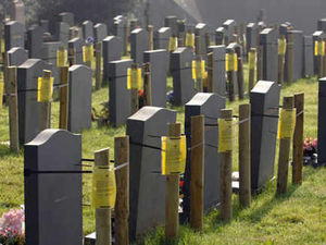 Supporting image for story: Families spared cost of headstone repairs