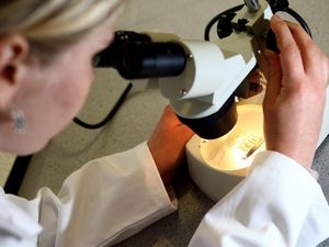 Supporting image for story: Combined treatment could tackle melanoma resistance