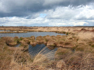 Supporting image for story: Farm cafe and shop plan near Whitchurch suffers setback