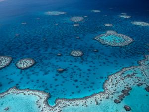 Supporting image for story: First climate tipping point reached after coral reef diebacks, scientists warn