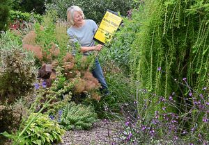 Opening the garden for charity days has raised almost £40,000 over 10 years

