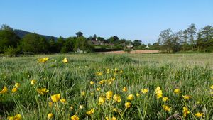 Rushbury, Shropshire. Photo: Peter Steggles