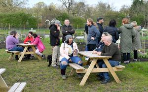Roots Allotment, Stourbridge
