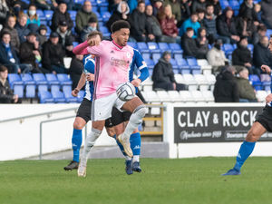 Supporting image for story: AFC Telford United's Dom McHale set for another scan
