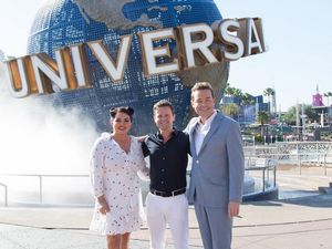 Supporting image for story