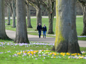 Supporting image for story: No 'meaningful' rainfall in Shropshire for a whole month after threats of flooding in January