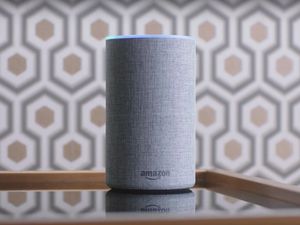 Supporting image for story: Skyrim imagined on Amazon Alexa is an early contender for highlight of E3