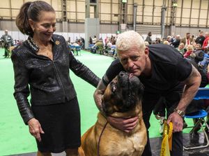 Supporting image for story: WWE legend left with shattered dreams, but also great pride, after dog competes at Crufts