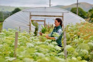 Emily says she learned on the job