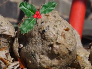 Supporting image for story: Be a binner, not a blocker this Christmas