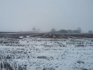 Snow in Bishops Wood, in between Codsall Wood and Tong. Pic: Kirsten Rawlins