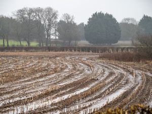 Supporting image for story: NFU plea to major retailers over farming support as rainfall continues to cause misery