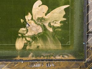 Supporting image for story: AFC Wimbledon’s game with Accrington off as alternative venue cannot be found