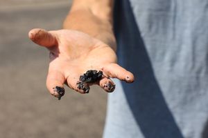 Mark Edwards holding piece of tar that has melted in heatwave on Gorsemoor Road in Cannock. Gorsemoor Road in Cannoc in Staffordshire is melting down in the heatwave. The highways authority has temporarily closed the road, and has been out on Saturday to treat it .