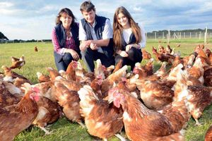 Helen, Tony and Ali Heal
