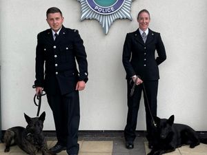 Supporting image for story: Two new police dogs join Staffordshire Police