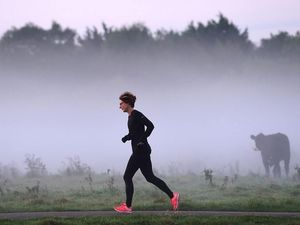 Supporting image for story: Exercise hormone may help combat Alzheimer’s, research suggests