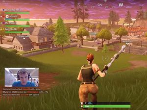 Supporting image for story: A group of scientists is using Fortnite to talk about climate change with gamers