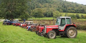 Line up of tractors