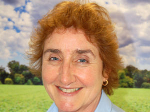 Supporting image for story: How to control costs on meals fit for pigs