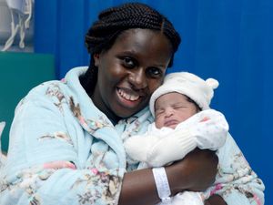 Supporting image for story: New arrivals for New Year’s Day